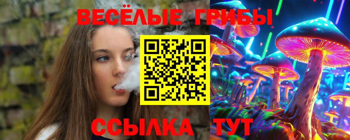 Кизилюрт  Псилоцибиновые грибы MAGIC MUSHROOMS  Вход с VPN 